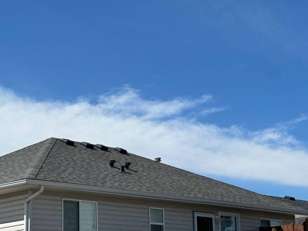Best Roof Coating and Sealing  in Oak Hills Pce, LA